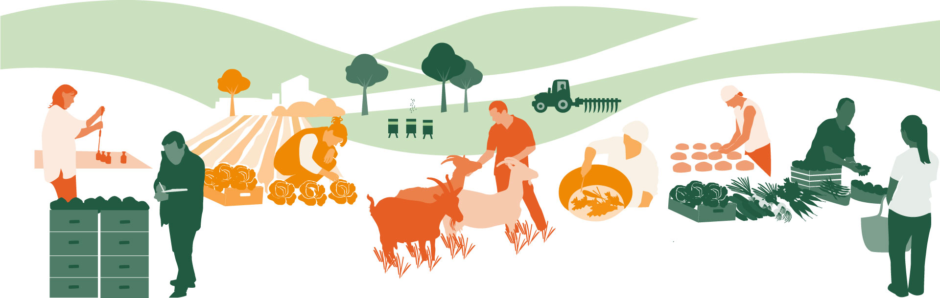 seae-agricultura-ecologica-ilustracion-socios