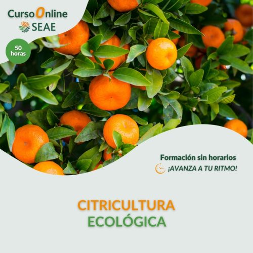 seae-agroecologia-curso-autoestudio-citricultura