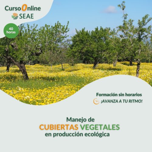 seae-agroecologia-curso-autoestudio-cubiertas-vegetales