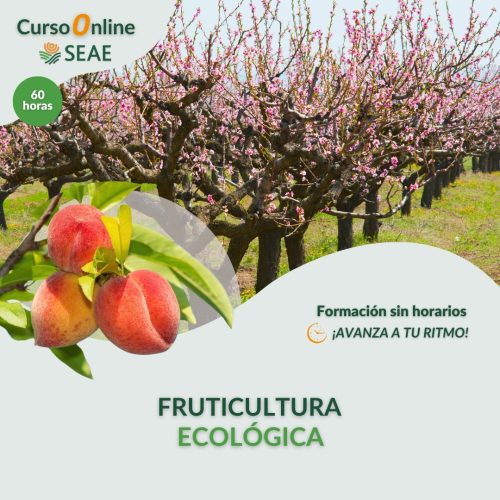 seae-agroecologia-curso-autoestudio-fruticultura
