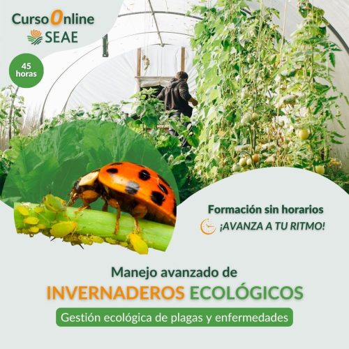 seae-agroecologia-curso-autoestudio-invernaderos-plagas