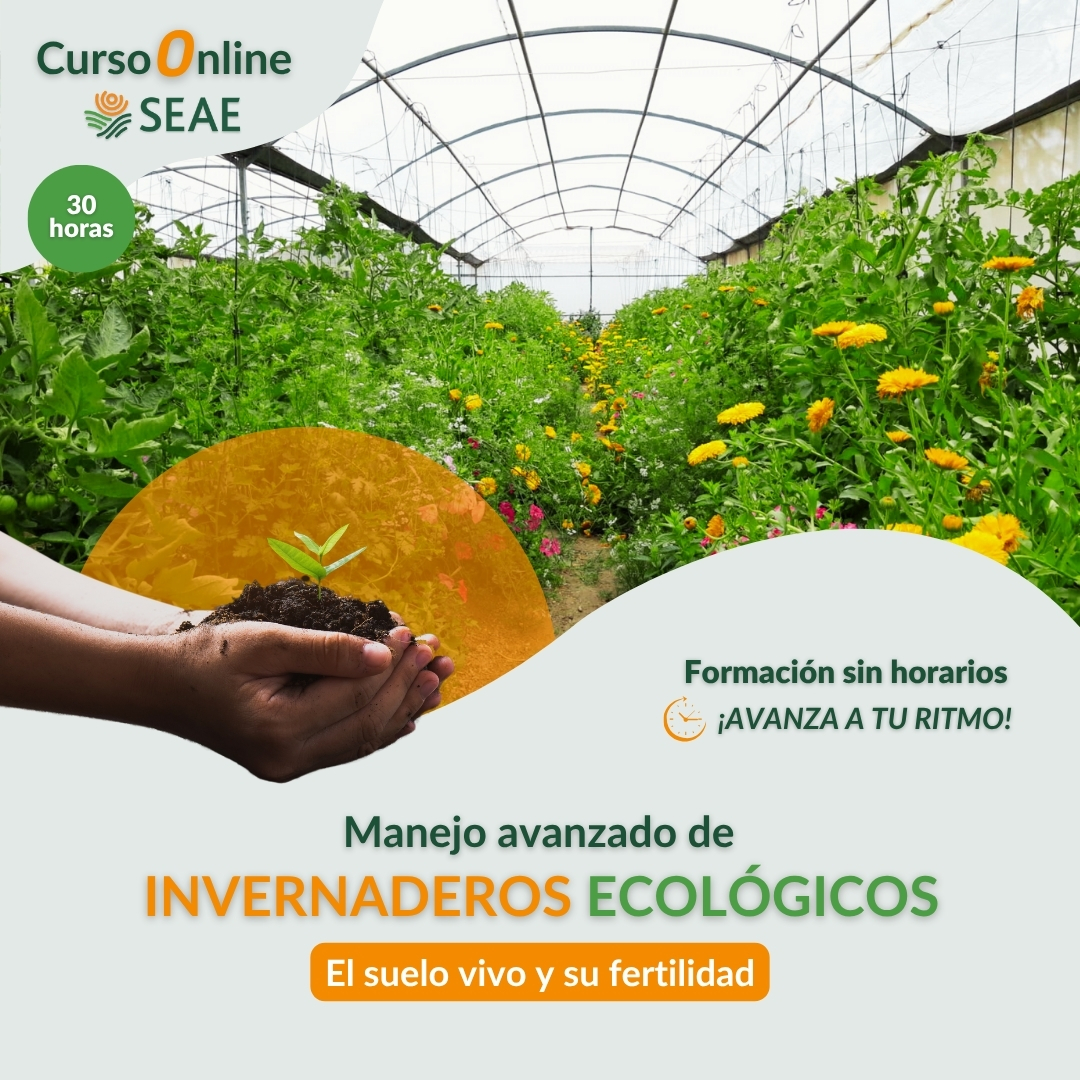seae-agroecologia-curso-autoestudio-invernaderos-suelo