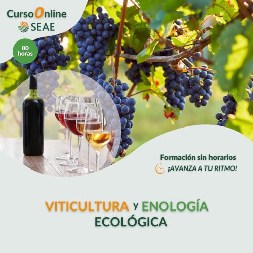 seae-agroecologia-curso-autoestudio-viticultura-enologia