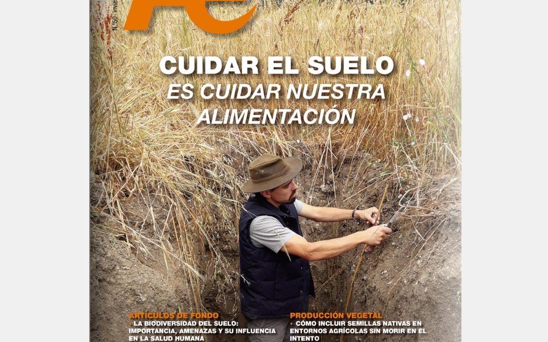 Cuidar el suelo es cuidar de nuestra alimentación