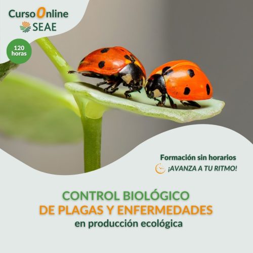 seae-formacion-curso-autoestudio-control-biologico