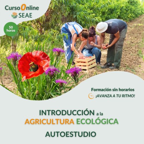 seae-formacion-curso-autoestudio-introduccion