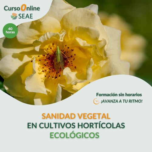 seae-formacion-curso-autoestudio-sanidad-vegetal (2)