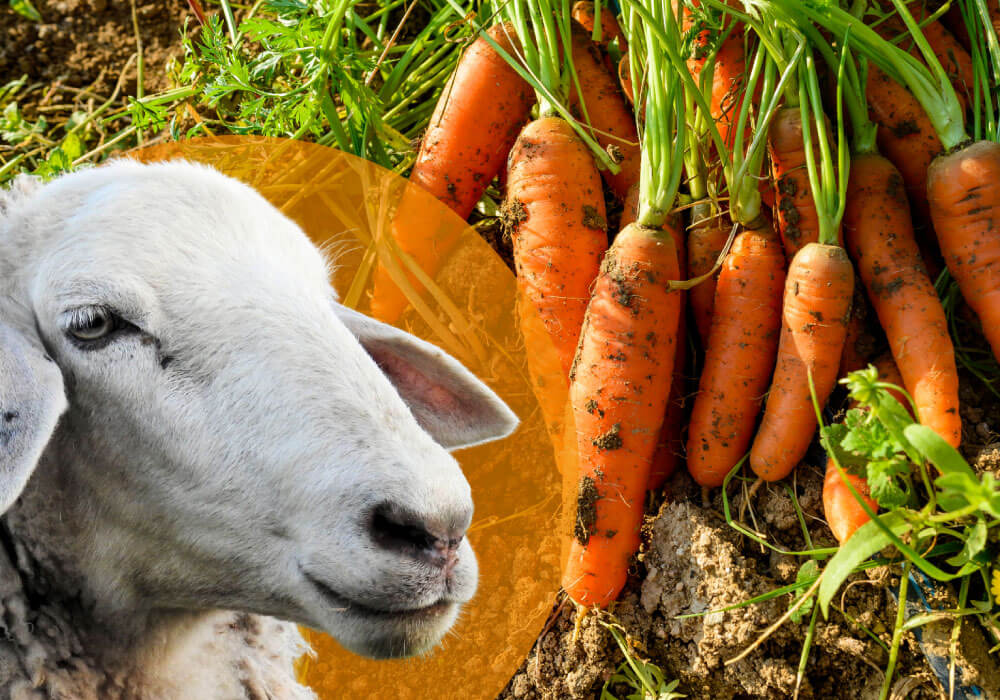 seae-formacion-cursos-eco-agricultura-ganaderia