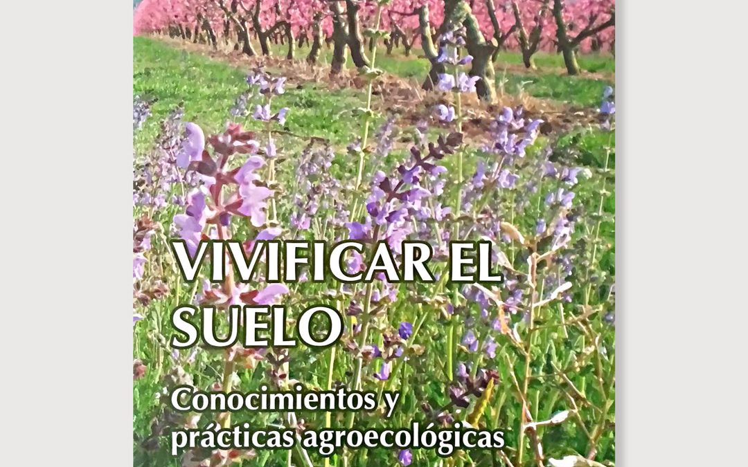 Día Mundial del suelo: Vivificarlo desde la agroecología