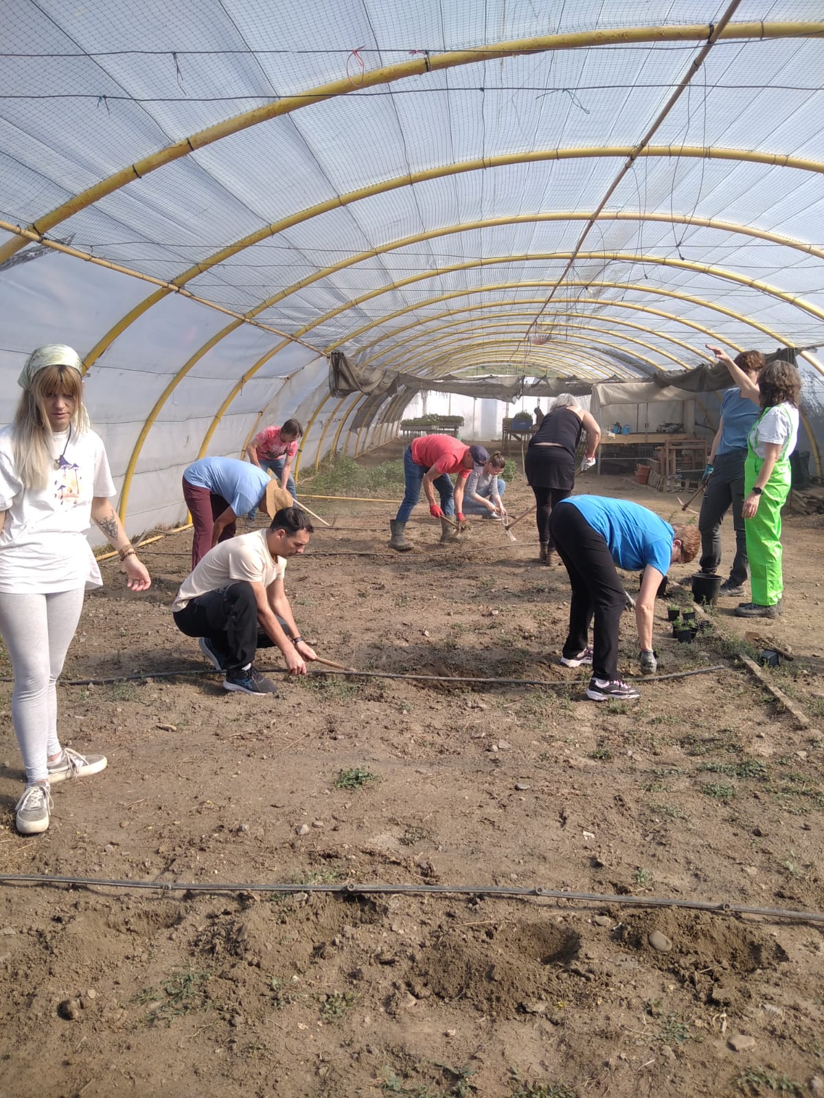 seae-agroecologia-consultoria-emprendimiento-agroecologico-1
