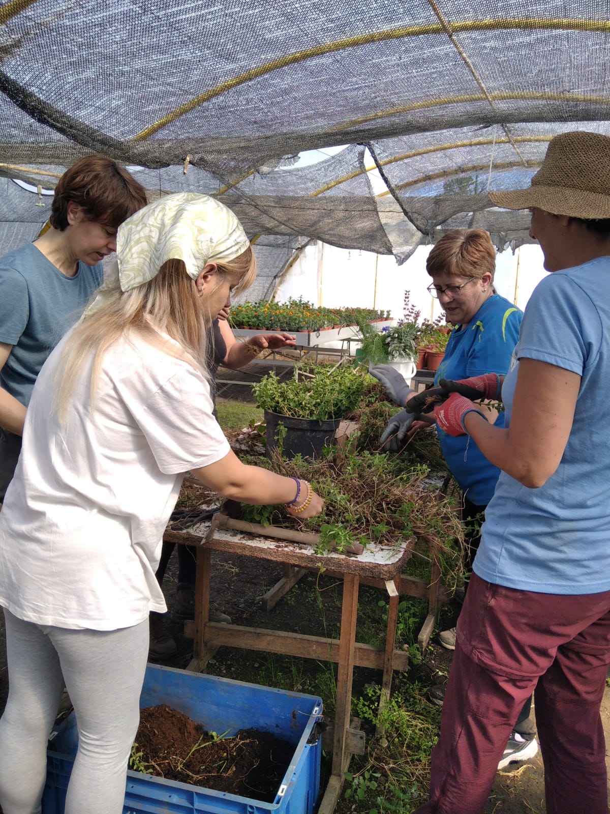 seae-agroecologia-consultoria-emprendimiento-agroecologico-2