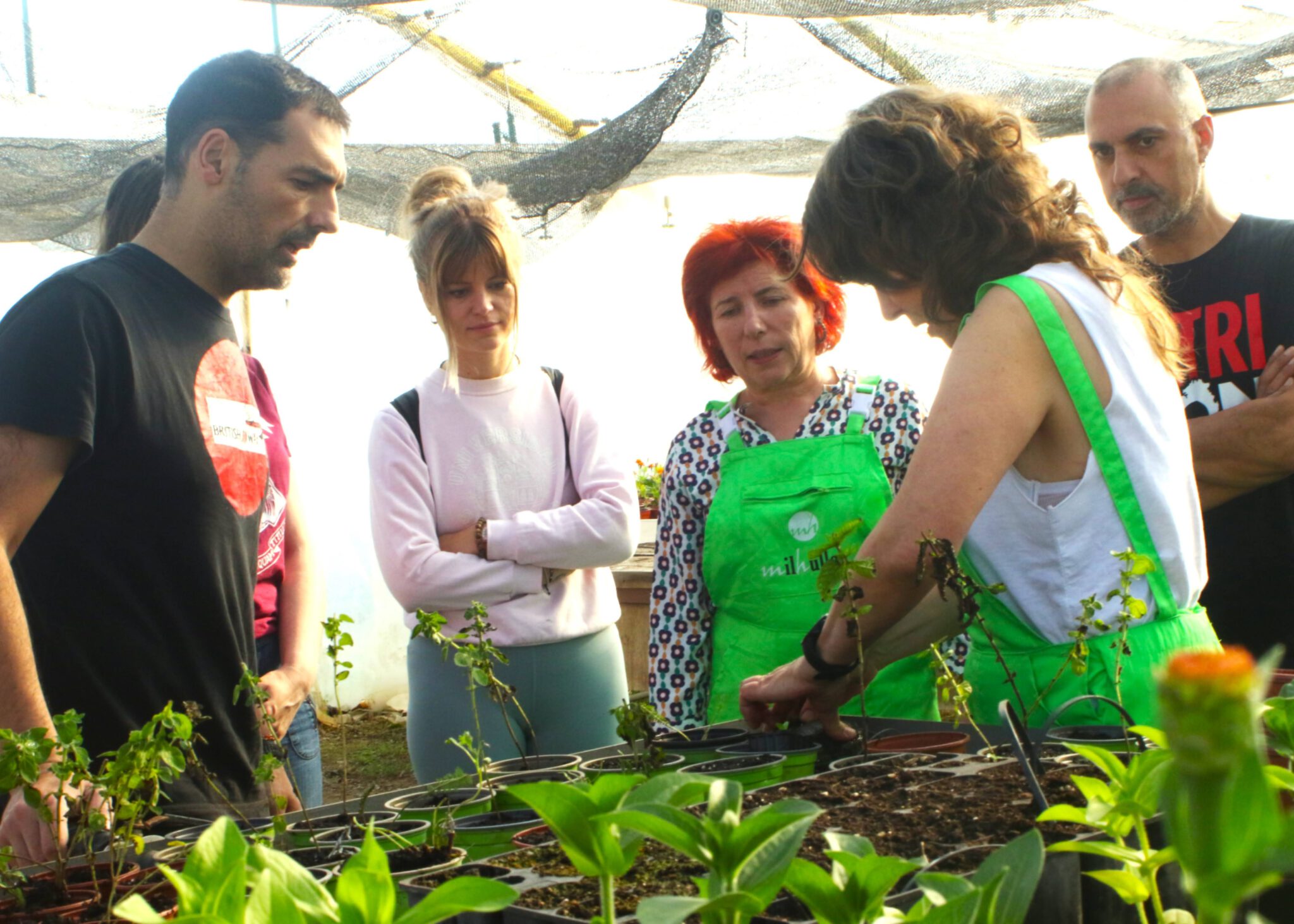 seae-agroecologia-consultoria-emprendimiento-agroecologico-3