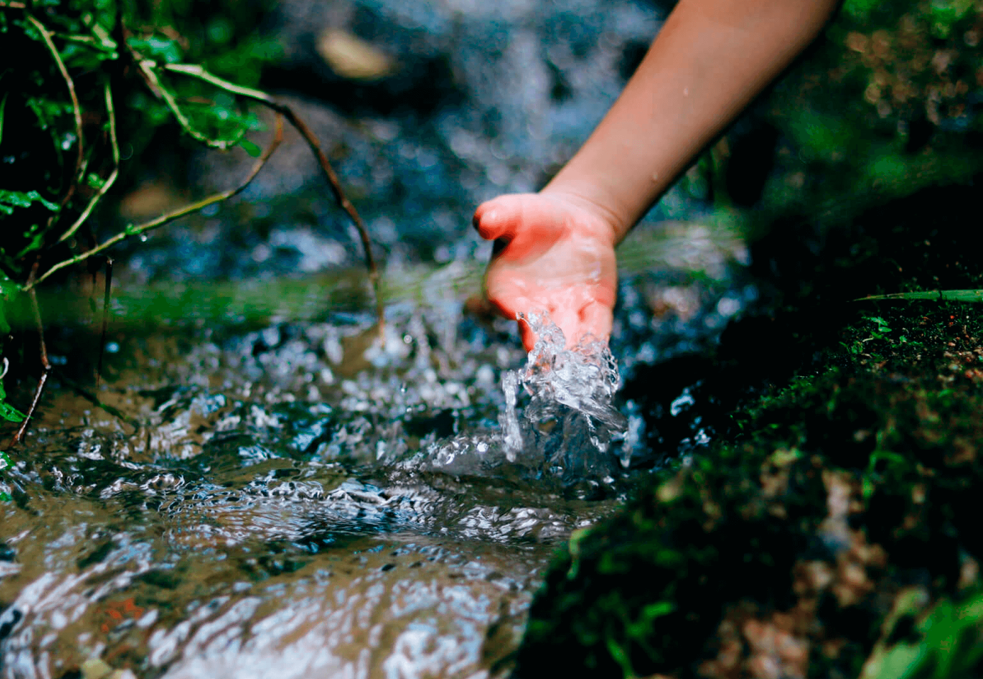 seae-agricultura-ecologica-agroecologia-agua