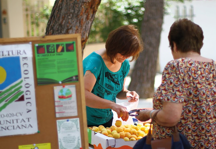 seae-agricultura-ecologica-agroecologia-canales-cortos