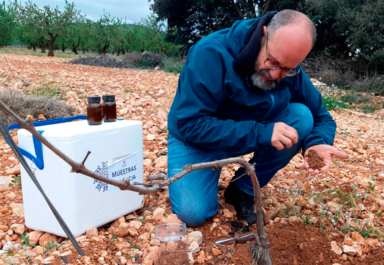 seae-agricultura-ecologica-agroecologia-ciencia