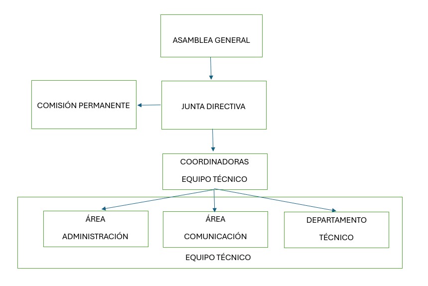 seae-transparencia-organigrama